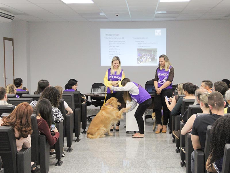 Cães poderão ajudar vítimas na elaboração do retrato falado